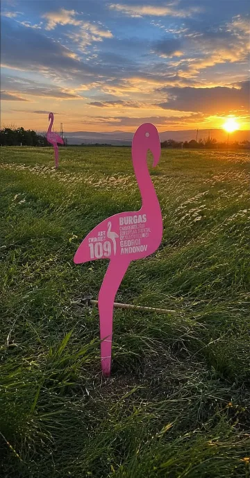  109 розови фламинго посрещат Giro d’Italia в Бургас 