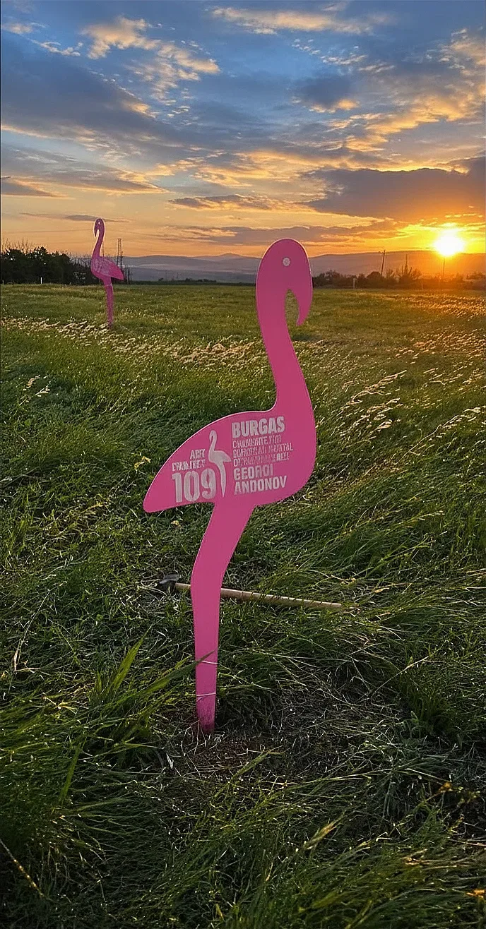  109 розови фламинго посрещат Giro d’Italia в Бургас 