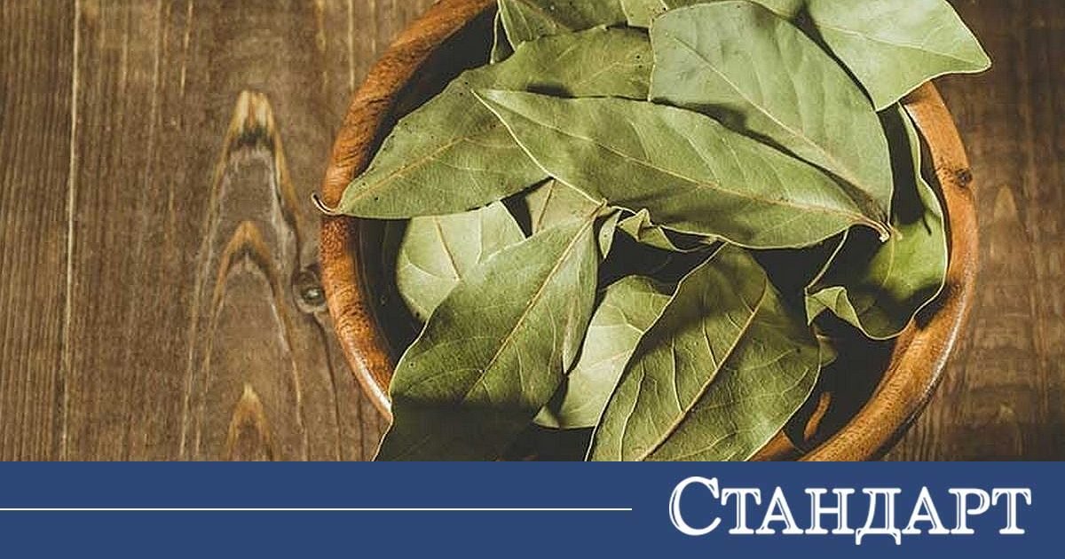 Неизвестните ползи на дафиновия лист