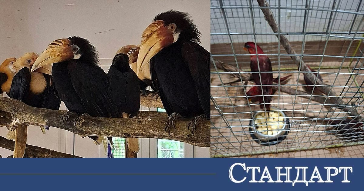 БАБХ пресече контрабанда на екзотични птици за стотици хиляди евро