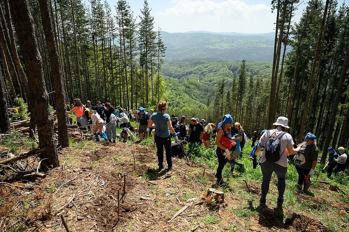 Екип Синьо на ОББ и ДЗИ направи Витоша по-зелена