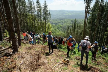 Екип Синьо на ОББ и ДЗИ направи Витоша по-зелена