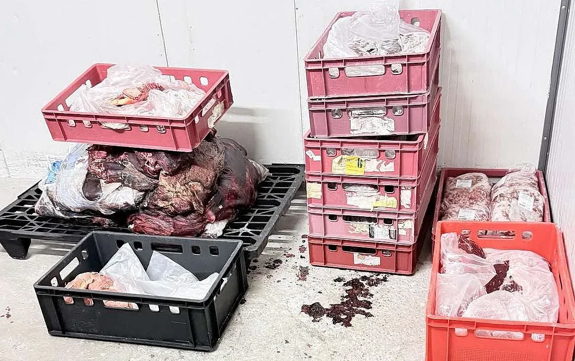 Иззеха над 38 т негодни храни и животински суровини от месокомбинат в Свиленград
