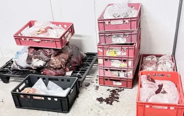 Иззеха над 38 т негодни храни и животински суровини от месокомбинат в Свиленград