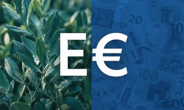 Може ли Европа да си позволи Зелената сделка?