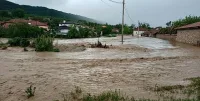 Велико Търново зове за помощ, търси доброволци