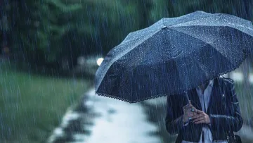 Времето полудя. Серия резки обрати
