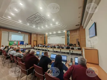 Оцениха мъката за жълти стотинки