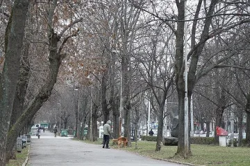 Парк "Заимов" с друго име