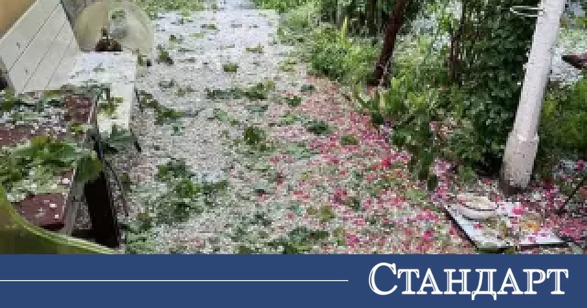 15 минути ледена градушка би по реколтата