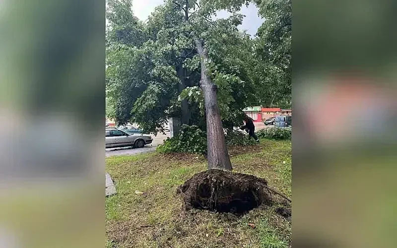 Мощна буря с градушка удари наш град, какви са щетите