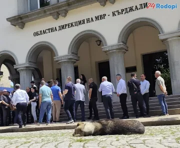 Кучешкият приют отива в друга прокуратура