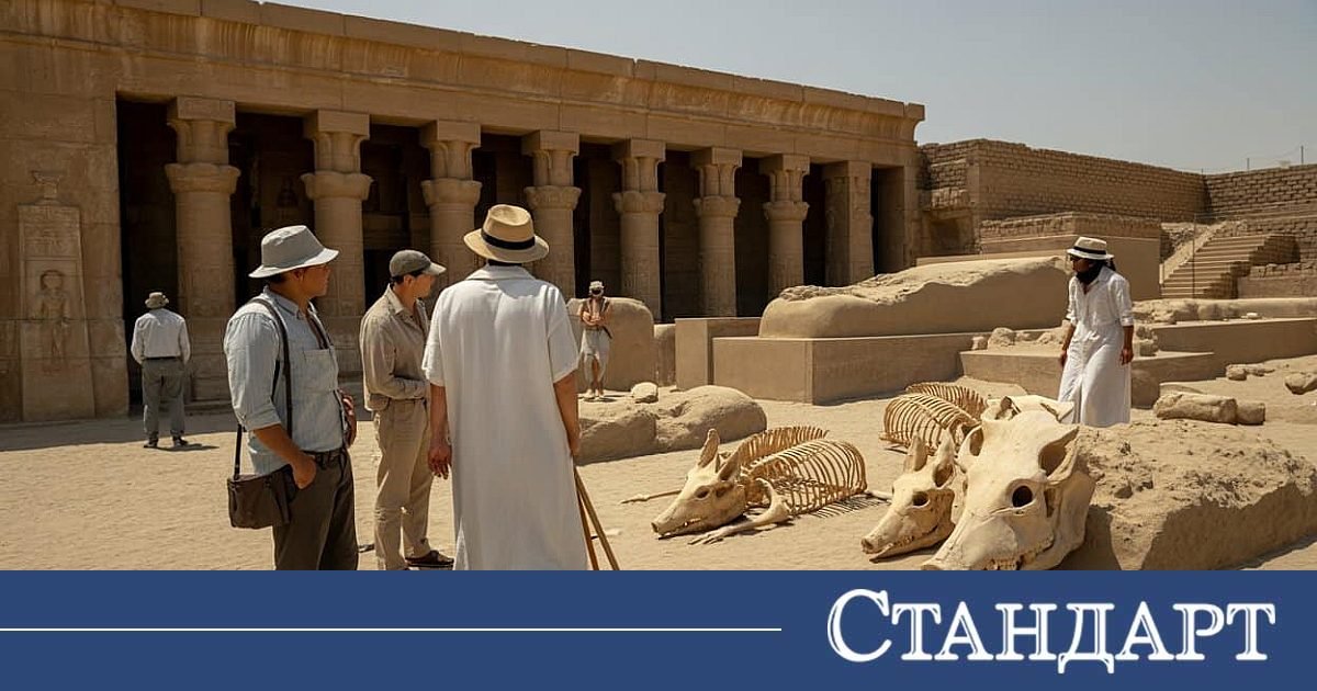 Некропол в Египет разкри странни погребални тайни