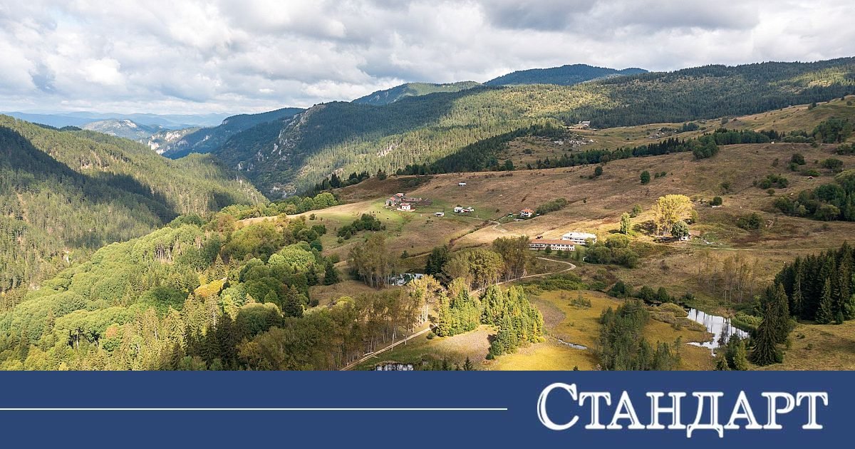 Ето как мъховете пазят крехката природа в Родопите