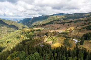 Ето как мъховете пазят крехката природа в Родопите