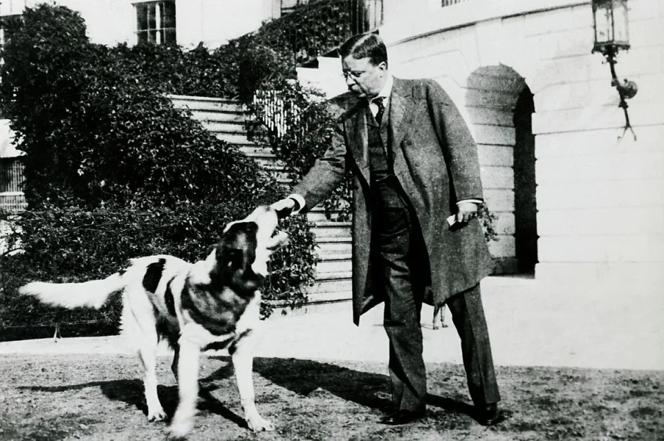 theodore-roosevelt-kuche