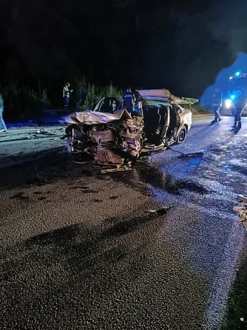 Зловещи подробности за сблъсъка на Чепинско шосе. 18-годишна зад волана