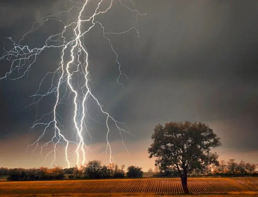 Какво е да оцелееш от мълния: Говори Цветелин