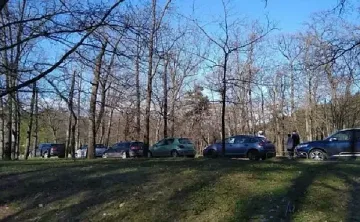 Ново безумие в София! Коли в парковете