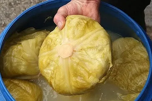 Защо в Белия дом полудяха по кисело зеле и какъв  е българският принос