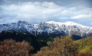България и Балканите губят най-голямото си богатство