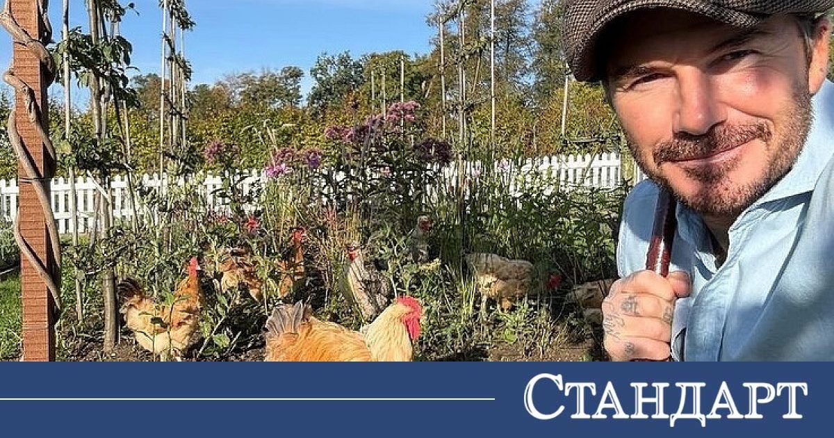 Световни знаменитости и кралски особи луднаха по кокошките 2026 - юстиция Любопитно световни знаменитости и кралски особи луднаха по кокошките 2026 bekiem i kokoski og любопитно векът на високите технологии и забързаното ежедневие неочаквано роди една от най-изненадващите модни тенденции сред... Iustitia. Bg световни знаменитости и кралски особи луднаха по кокошките 2026 2026-06-21 22:14:56 юстиция любопитно