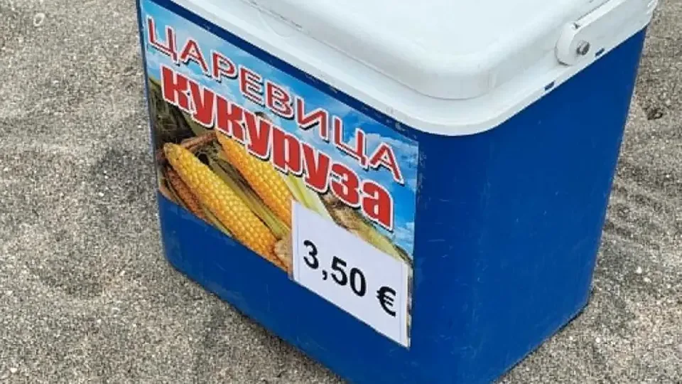 царевица