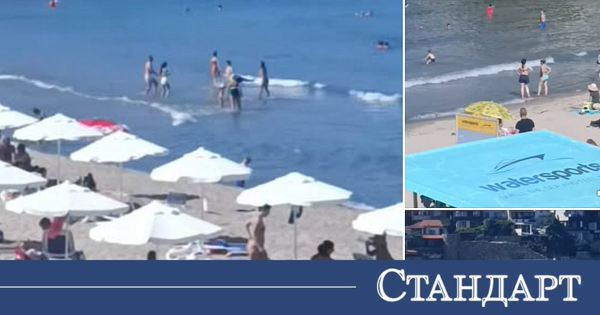 Юстиция юстиция | разследваща журналистика, новини, анализи | iustitia. Bg | юстиция sozopol plaz og юстиция jtndysuymghyzwylm0qlmjjodhrwcyuzqsuyriuyrm5ld3muz29vz2xllmnvbsuyrnb1ymxpy2f0aw9ucyuyrknbqxfcd2dltuxqnxlrc3c4nvroqxclm0zjzwlkjtneqkclm0fizyuynmftccuzqm9jjtnemyuymiuzrsuzq2ltzyuymgnsyxnzjtnejtiyywxpz25jzw50zxilmjb3cc1pbwfnzs0xnju3jtiwc2l6zs1mdwxsjtiyjtiwdgl0bgulm0qlmjilrdalqjmlrdelodmlrdalqjmlrdeloeelrdalqkilmjalrdalqkqlrdalqkulrdalqjilrdalqjglrdalqkqlrdalqjglmkmlmjalrdalqjmlrdalqkulrdalqkulrdalqjmlrdalqkilrdalqjulmjalrdalqkqlrdalqkulrdalqjilrdalqjglrdalqkqlrdalqjglmkmlmjalrdalqjmlrdelodmlrdalqjmlrdeloeelrdalqkilmjalrdalqkqlrdeloeulrdalqjclmkmlmjalrdalqjmlrdeloeelrdalqjmlrdeloeelrdalqkilmjalrdalqkqlrdeloeulrdalqjclmkmlmjbnb29nbgulmjbuzxdzjtjdjtiwbmv3cyuymgdvb2dszsuyqyuymgdvb2dszs5izyuyqyuymg5ld3muz29vz2xllmjnjtjdjtiwjuqwjuffjuqxjtgxjuqxjtgyjuqwjui4juqxjtg2juqwjui4juqxjthgjtjdjtiwjuqwjujejuqwjujfjuqwjuiyjuqwjui4juqwjujejuqwjui4jtjdjtiwjuqwjujgjuqwjujfjuqxjtgxjuqwjujcjuqwjui1juqwjui0juqwjujejuqwjujfjuqxjtgyjuqwjujfjtjdjtiwjuqwjujejuqwjuiwjuqwjui5lsvemcvcmivemcvcmcvemcvcnivemcvcrcvemcvcrsvemsu4mivemcvcrsuyqyuymcvemcvcmivemcvcocvemcvcncvemcvcnsvemcvcrsuyqyuymcvemsu4mivemcvcnsvemcvcqivemcvcnsvemcvcmivemcvcocvemcvcnyvemcvcocvemsu4riuyqyuymcvemsu4mcvemcvcmcvemcvcncvemcvcocvemcvcrsuyqyuymcvemcu5rcvemcvcrsvemcvcmivemcvcocvemcvcrcvemcvcocuyqyuymcvemcvcrivemcvcnsvemsu4mivemsu4qsvemsu4mcuymcvemcvcrcvemcvcocvemcvcnyvemcvcmcvemcvcqyvemcvcrsvemcvcmiuymiuymhnyyyuzrcuymmh0dhalm0elmkylmkz3d3cuaxvzdgl0aweuymclmkz3cc1jb250zw50jtjgdxbsb2fkcyuyrjiwmjmlmkywmyuyrkdvb2dszs1ozxdzlwl1c3rpdglhlwjnlxbldgfylw5pemftb3yud2viccuymiuymgfsdcuzrcuymivemcvcmyvemsu4myvemcvcmyvemsu4qsvemcvcqiuymcvemcvcrcvemcvcrsvemcvcmivemcvcocvemcvcrcvemcvcocuyqyuymcvemcvcmyvemcvcrsvemcvcrsvemcvcmyvemcvcqivemcvcnsuymcvemcvcrcvemcvcrsvemcvcmivemcvcocvemcvcrcvemcvcocuyqyuymcvemcvcmyvemsu4myvemcvcmyvemsu4qsvemcvcqiuymcvemcvcrcvemsu4rsvemcvcnyuyqyuymcvemcvcmyvemsu4qsvemcvcmyvemsu4qsvemcvcqiuymcvemcvcrcvemsu4rsvemcvcnyuyqyuymgdvb2dszsuymg5ld3mlmkmlmjbuzxdzjtiwz29vz2xljtjdjtiwz29vz2xllmjnjtjdjtiwbmv3cy5nb29nbguuymclmkmlmjalrdalquulrdelodelrdelodilrdalqjglrdelodylrdalqjglrdeloeylmkmlmjalrdalqkqlrdalqkulrdalqjilrdalqjglrdalqkqlrdalqjglmkmlmjalrdalqkylrdalqkulrdelodelrdalqkilrdalqjulrdalqjqlrdalqkqlrdalqkulrdelodilrdalqkulmkmlmjalrdalqkqlrdalqjalrdalqjktjuqwjuiyjuqwjuiwjuqwjui2juqwjujejuqwjujfjuqxjtgyjuqwjujfjtjdjtiwjuqwjuiyjuqwjui4juqwjui0juqwjui1juqwjujfjtjdjtiwjuqxjtgyjuqwjui1juqwjujcjuqwjui1juqwjuiyjuqwjui4juqwjui3juqwjui4juqxjthgjtjdjtiwjuqxjtgwjuqwjuiwjuqwjui0juqwjui4juqwjujfjtjdjtiwjuqwjtlejuqwjujfjuqwjuiyjuqwjui4juqwjujejuqwjui4jtjdjtiwjuqwjujgjuqwjui1juqxjtgyjuqxjthbjuqxjtgwjtiwjuqwjujejuqwjui4juqwjui3juqwjuiwjuqwjujdjuqwjujfjuqwjuiyjtiyjtiwd2lkdgglm0qlmjizmdalmjilmjbozwlnahqlm0qlmjixmdulmjilmjalmkylm0ulm0mlmkzhjtnfjtndadmlmjbzdhlszsuzrcuymnrlehqtywxpz24lm0elmjbjzw50zxilm0ilmjilm0ulm0nzdhjvbmclm0ulrdalqtalrdalqjulrdalqkelrdalqkilrdalqjalrdalqkmlrdalqjglrdelodalrdalqjalrdalqjklrdelodilrdalqjulmjalrdalqkylrdelodalrdalqjglmjalrdalqkqlrdalqjalrdelodehjtndjtjgc3ryb25njtnfjtndjtjgadmlm0ulmeqlmeelm0nhjtiwahjlziuzrcuymmh0dhbzjtnbjtjgjtjgaxvzdgl0aweuymclmkzyzwtsyw1pjtjgjtiyjtnfjtndaw1njtiwy2xhc3mlm0qlmjjhbglnbmnlbnrlciuymhdwlwltywdlltgxnda1jtiwc2l6zs1mdwxsjtiyjtiwdgl0bgulm0qlmjilrdalqtalrdalqjulrdalqkelrdalqkilrdalqjalrdalqkmlrdalqjglrdelodalrdalqjalrdalqjklrdelodilrdalqjulmjalrdalqkylrdelodalrdalqjglmjalrdalqkqlrdalqjalrdelodehjtiwjuqwjuffjuqwjuexjuqwjueyjuqwjtk4juqwjue2juqwjtk4juqwjufgjtiwlsuymelvu1rjvelblkjhjtiyjtiwc3jjjtnejtiyahr0chmlm0elmkylmkzpdxn0axrpys5izyuyrndwlwnvbnrlbnqlmkz1cgxvywrzjtjgmjaynsuyrjewjtjgcmvrbgftaxjhaxrllxbyas1uyxmud2viccuymiuymgfsdcuzrcuymivemcvbmcvemcvcnsvemcvcqsvemcvcqivemcvcmcvemcvcqyvemcvcocuymcvemcvbmcvemcvcnsvemcvcqsvemcvcqivemcvcmcvemcvcqyvemcvcmcuymcvemcvcncvemcvcocvemcvcmyvemcvcocvemsu4mivemcvcmcvemcvcqivemcvcnsvemcvcrcuymcvemcvcqyvemcvcmcvemsu4mcvemcvcqsvemcvcnsvemsu4mivemcvcocvemcvcrcvemcvcmyuymcvemcvbmcvemcvcnsvemcvcqsvemcvcqivemcvcmcvemcvcqyvemcvcocvemsu4mcvemcvcmcvemcvcosvemsu4mivemcvcnsuymcvemcvcrivemsu4mcvemcvcocuymcvemcvcrcvemcvcmcvemsu4msuymcvemsu4msuymcvemcvbrsvemcvbmsvemcvbmivemcu5ocvemcvbnivemcu5ocvemcvbriuymc0lmjbjvvnusvrjqs5cryuymcvemcvbmcvemcvcnsvemcvcqsvemcvcqivemcvcmcvemcvcqyvemcvcocvemsu4mcvemcvcmcvemcvcosvemsu4mivemcvcnsuymcvemcvcrivemsu4mcvemcvcocuymcvemcvcrcvemcvcmcvemsu4mselmjalrdalquulrdalqtelrdalqtilrdalotglrdalqtylrdalotglrdalquylmjatjtiwsvvtvelusueuqkclmjbyzwtsyw1pcmfpdgulmjbwcmklmjbuyxmlmjilmjb3awr0acuzrcuymjeymdalmjilmjbozwlnahqlm0qlmji2mjglmjilmjalmkylm0ulm0mlmkzhjtnf юстиция юстиция