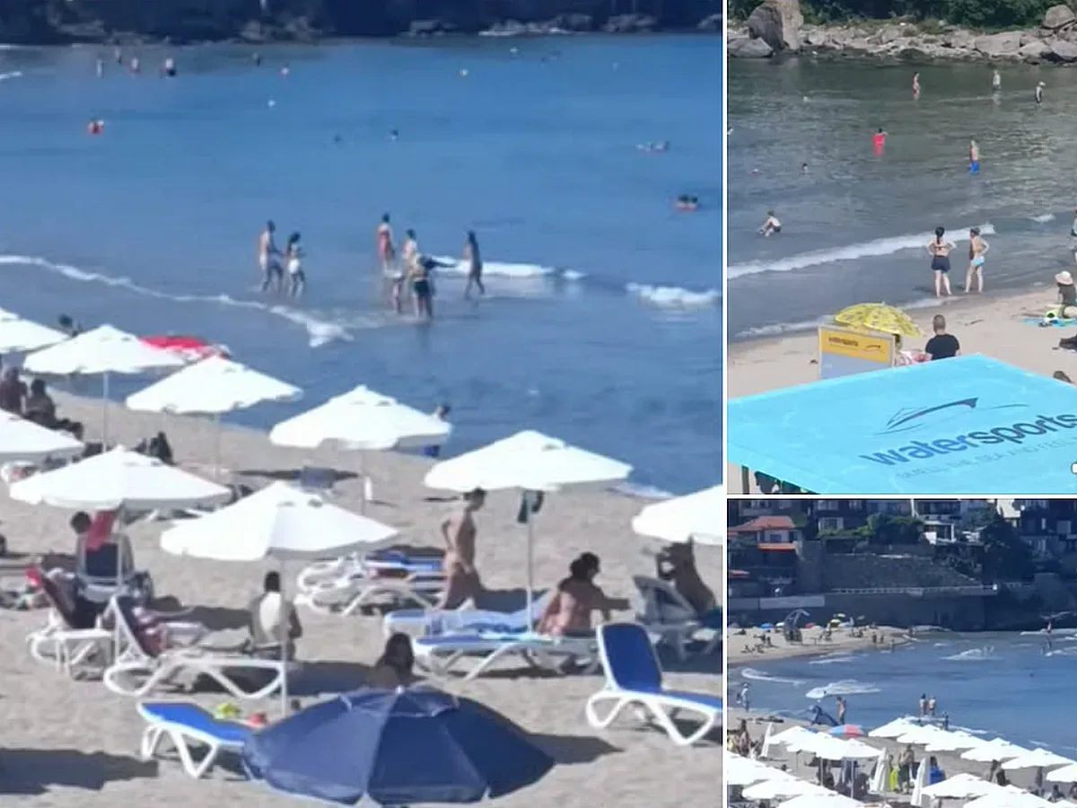 На морето скочиха! Елате да видите, преди да плюете