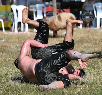 Турски пехливани се бият в Одрин, омазани в 2 тона зехтин