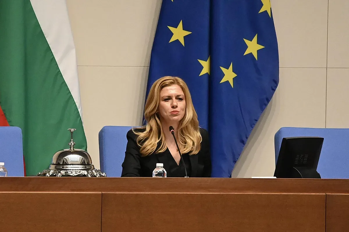 Михаела Доцова води делегация на Народното събрание в Истанбул