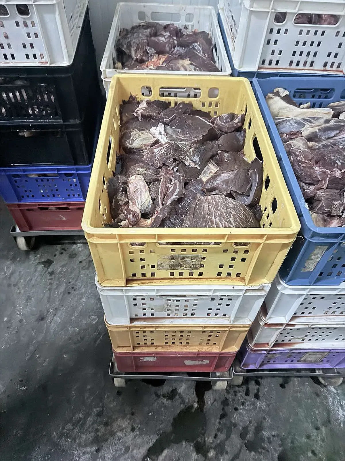БАБХ възбрани близо 500 кг свинско и странични продукти в предприятие в Хасково