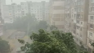 Паднали дървета в София, кошмар на АМ Тракия! ОБНОВЕНА