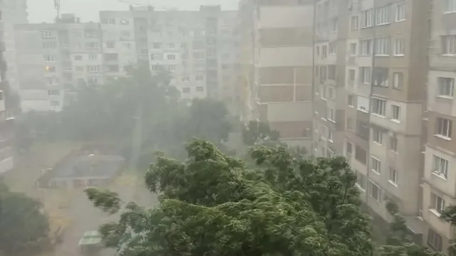 Паднали дървета в София, кошмар на АМ Тракия! ОБНОВЕНА