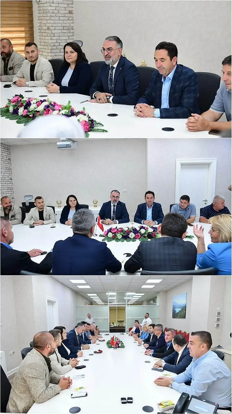 ДПС кастел2