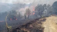 Извънредно: Голям пожар край магистрала "Струма", изпратиха въздушна линейка