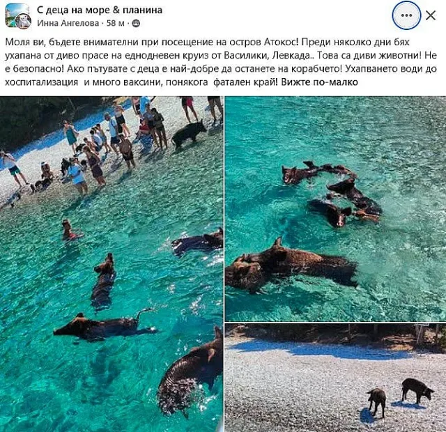 Глиган ухапа българка на гръцки остров