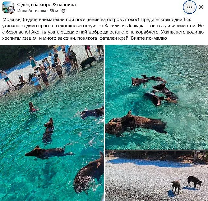 Глиган ухапа българка на гръцки остров