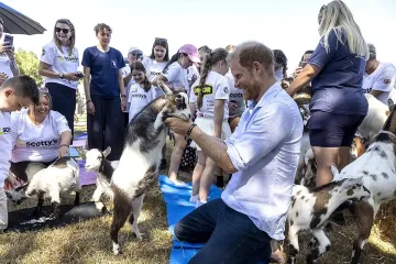 Коза скочи върху слабините на принц Хари, реакцията му разсмя всички