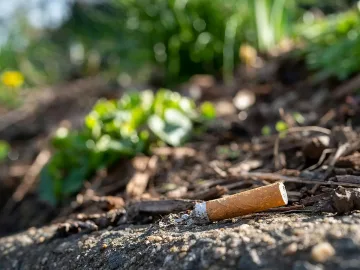 6 опасни мита за горските пожари. Една цигара не може да подпали цяла гора