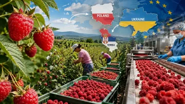 Рубиненото злато подпали Европа. Украйна измести Полша и Сърбия в битката за милиарди