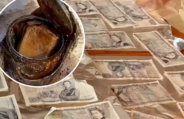 Миризлива кутия донесе имане на семейство (ВИДЕО)
