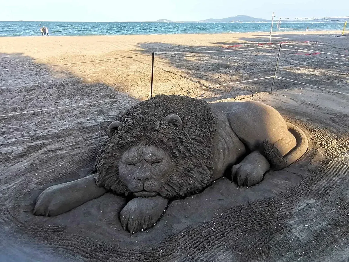 Огромен пясъчен лъв цъфна на плажа в Бургас