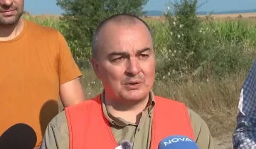 Домати за 30 евроцента в България? Земеделският министър вижда "интересни аномалии"
