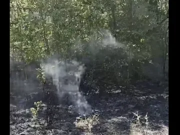 Мигранти подпалиха историческа местност, пожарникарите се видяха в чудо