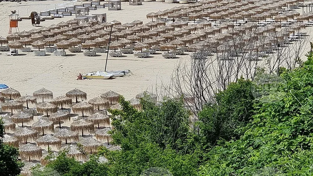 Кошмар на разкошен наш плаж. Водата стана кафява