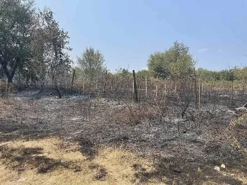 Огнената стихия в Мездра! Замърсен ли е въздухът?