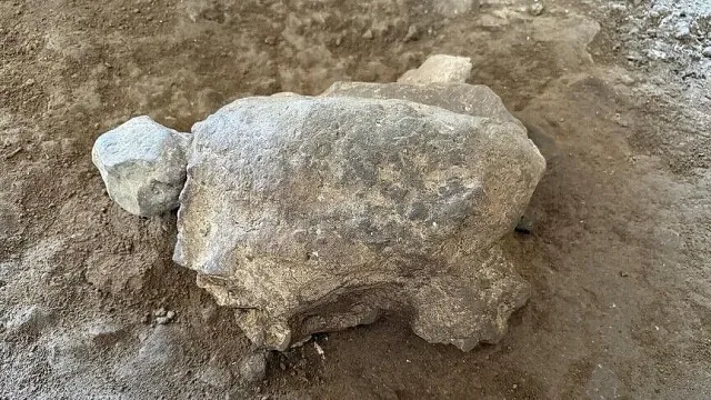 25 мистериозни костенурки на 16 500 години изскочиха от пещера в Турция
