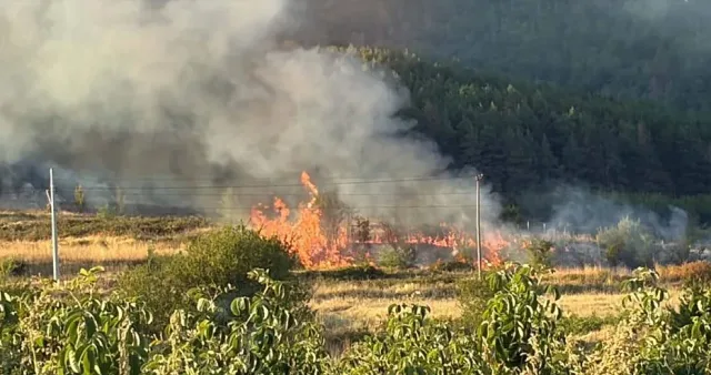 Влак подпали 2 наши села. Огънят захапа и гората