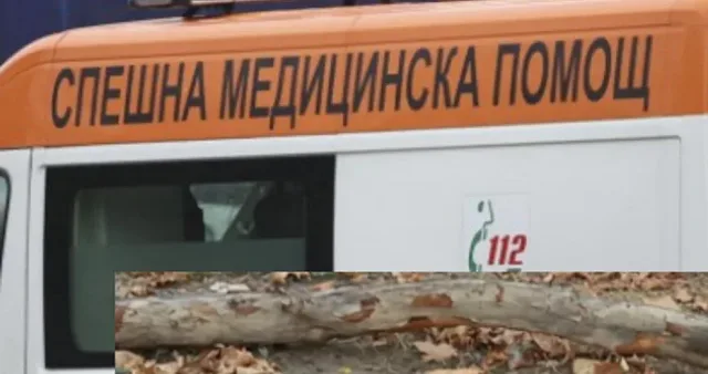 Петметрово изгнило дърво смаза момиче. Черепът й е оцелял